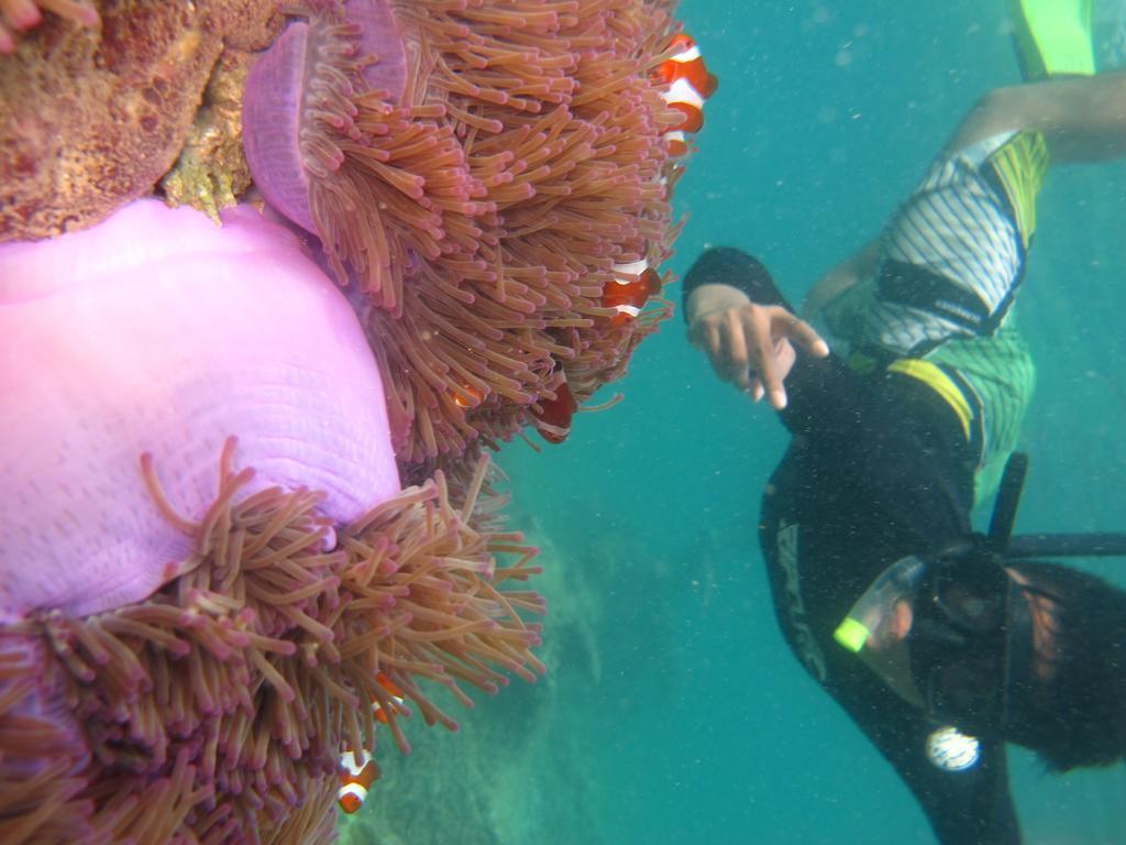 Ombak Dive Resort Perhentian Island Pulau Perhentian Kecil Kültér fotó