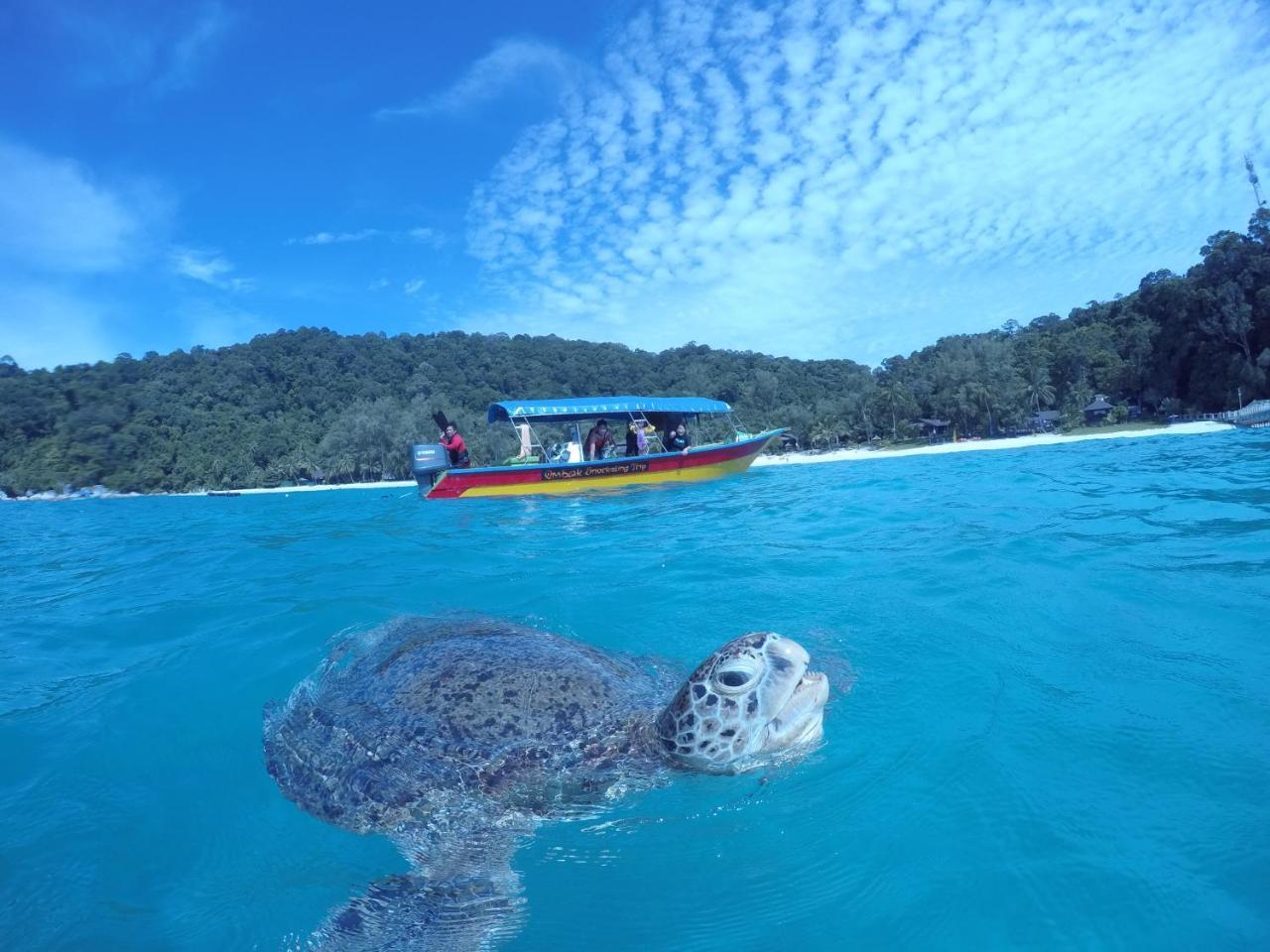 Ombak Dive Resort Perhentian Island Pulau Perhentian Kecil Kültér fotó